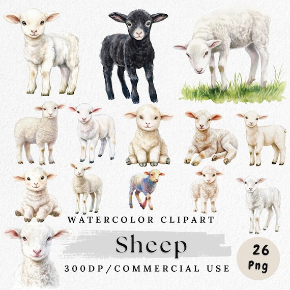 Sheep Clipart, Watercolor Lamb PNG, Cute Farm Animal Clip Art, Baby Sheep PNGs, Sheep Clip Art Bundle, Paper Crafting, Scrapbook Images