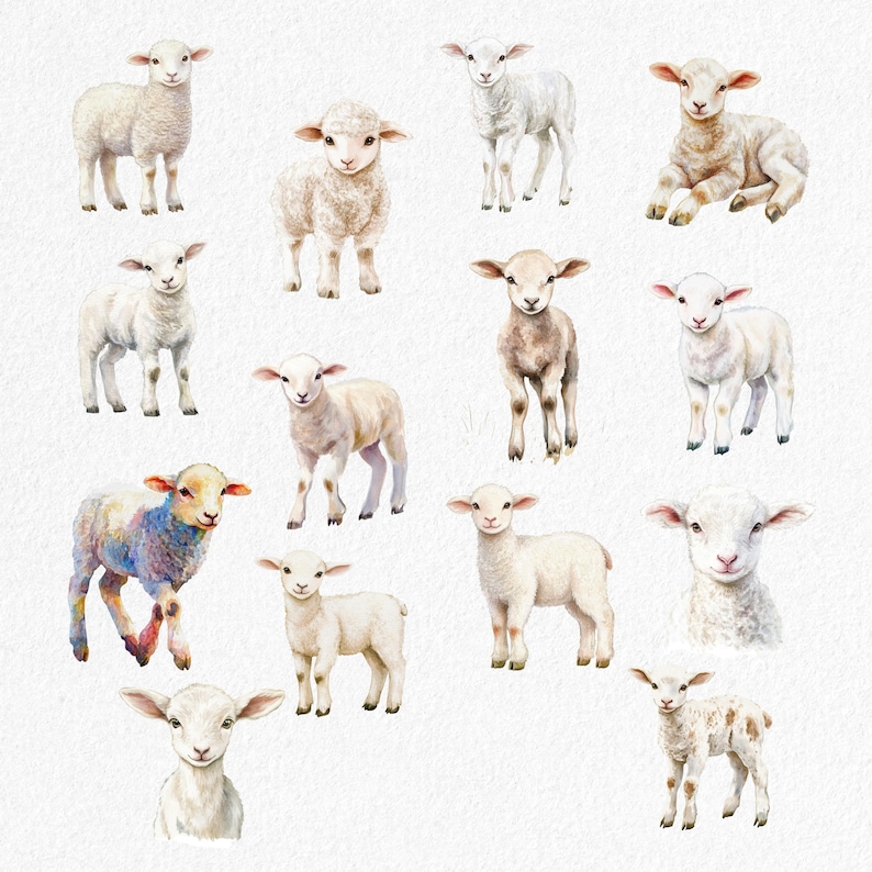 May include: Watercolor illustration of various lambs in different poses. The lambs are depicted in shades of white, beige, and brown, with some featuring colorful accents. The image has a soft, artistic style, perfect for nursery decor or farm-themed projects.