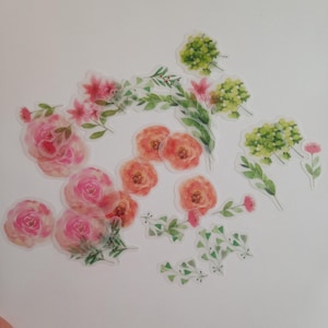 Flockensiegel "Blume botanisch", Daiso