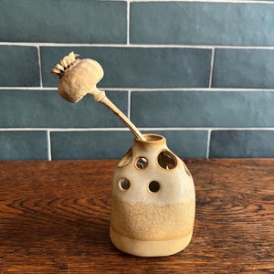May include: A small, beige ceramic vase with multiple circular openings, holding a dried poppy pod. The vase has a two-tone design, with a lighter upper section and a darker, textured lower section. The poppy pod is light brown.