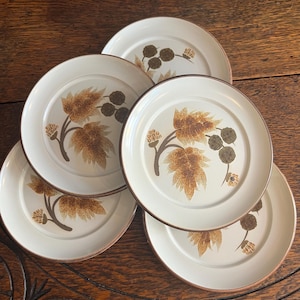 May include: A set of five off-white ceramic plates with a brown leaf and berry design. Each plate has a brown rim and a detailed botanical pattern in shades of brown and tan. The plates are arranged on a dark wooden surface.