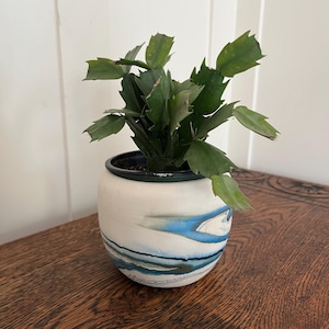 May include: A small potted plant with dark green leaves sits in a white ceramic pot with blue and teal abstract designs. The pot has a black rim and is placed on a dark wooden surface.