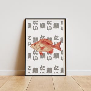 Red Snapper Tai Poster, Japanese Sushi Fish Art, Seafood Kitchen Decor, Sushi Wall Art, Retro Fish Poster, Restaurant Decor