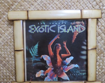 Hand made Bamboo frame for LP 12" vinyl records Perfect for Tiki bars and enchanted tiki rooms