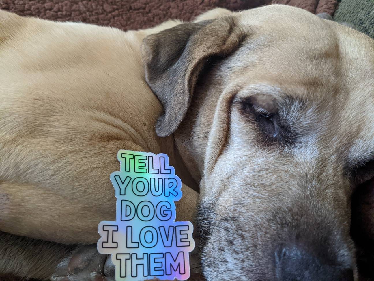 Tell your dog I love them- holographic sticker - Thumbnail 2