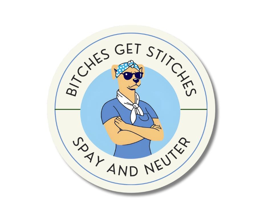 Bitches Get Stitches- Spay and Neuter Magnet 3x3