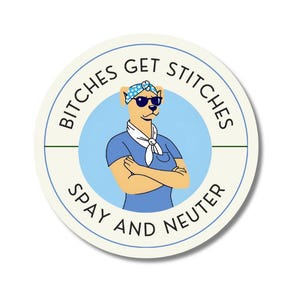 Bitches Get Stitches Vinyl Sticker 3&quot; round- Spay and Neuter