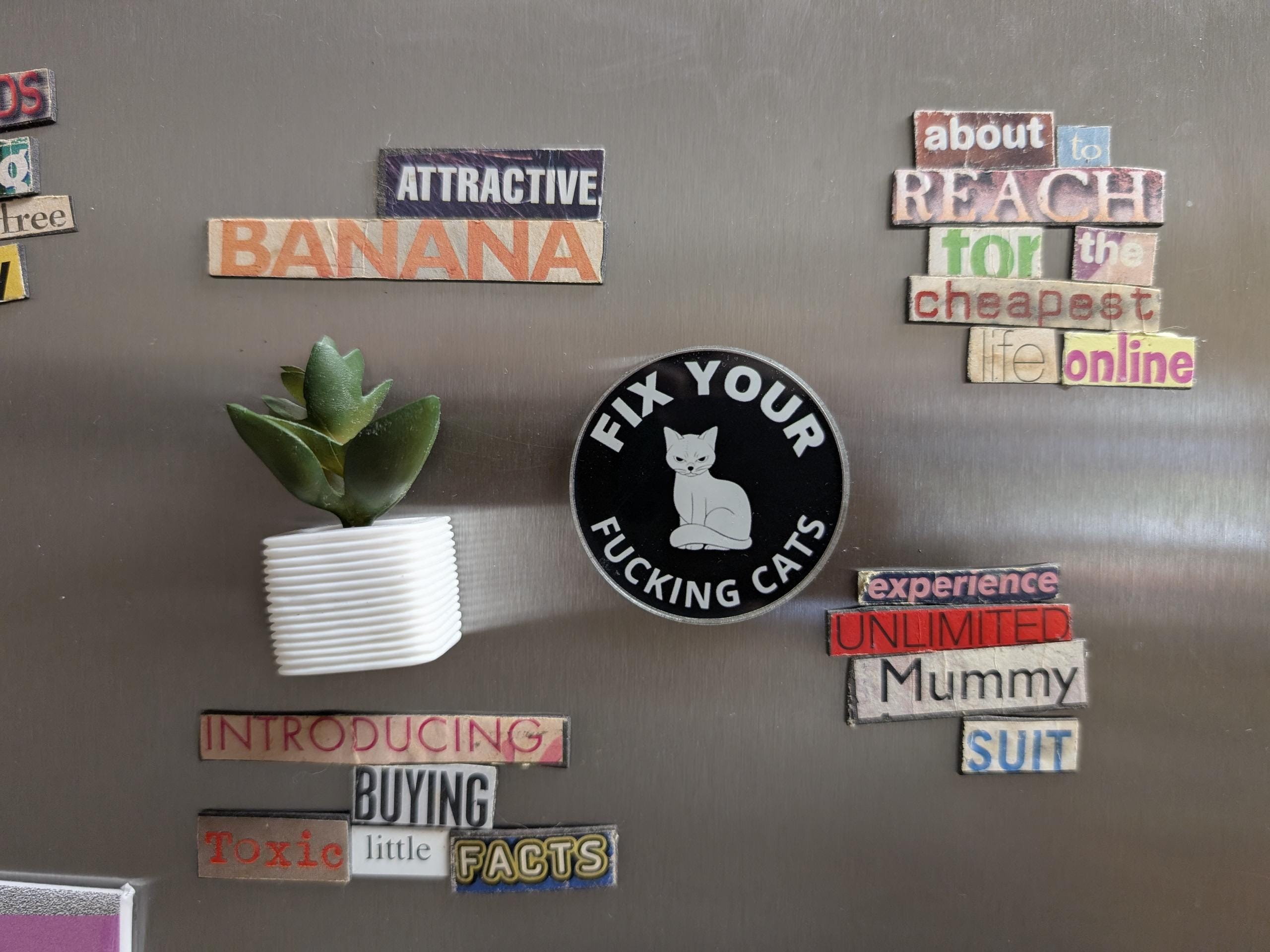 Fix your fucking cats 2" acrylic magnet - Thumbnail 4