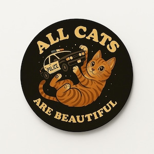 All Cat are Beautiful: poesje speelt met politieautosticker 3"