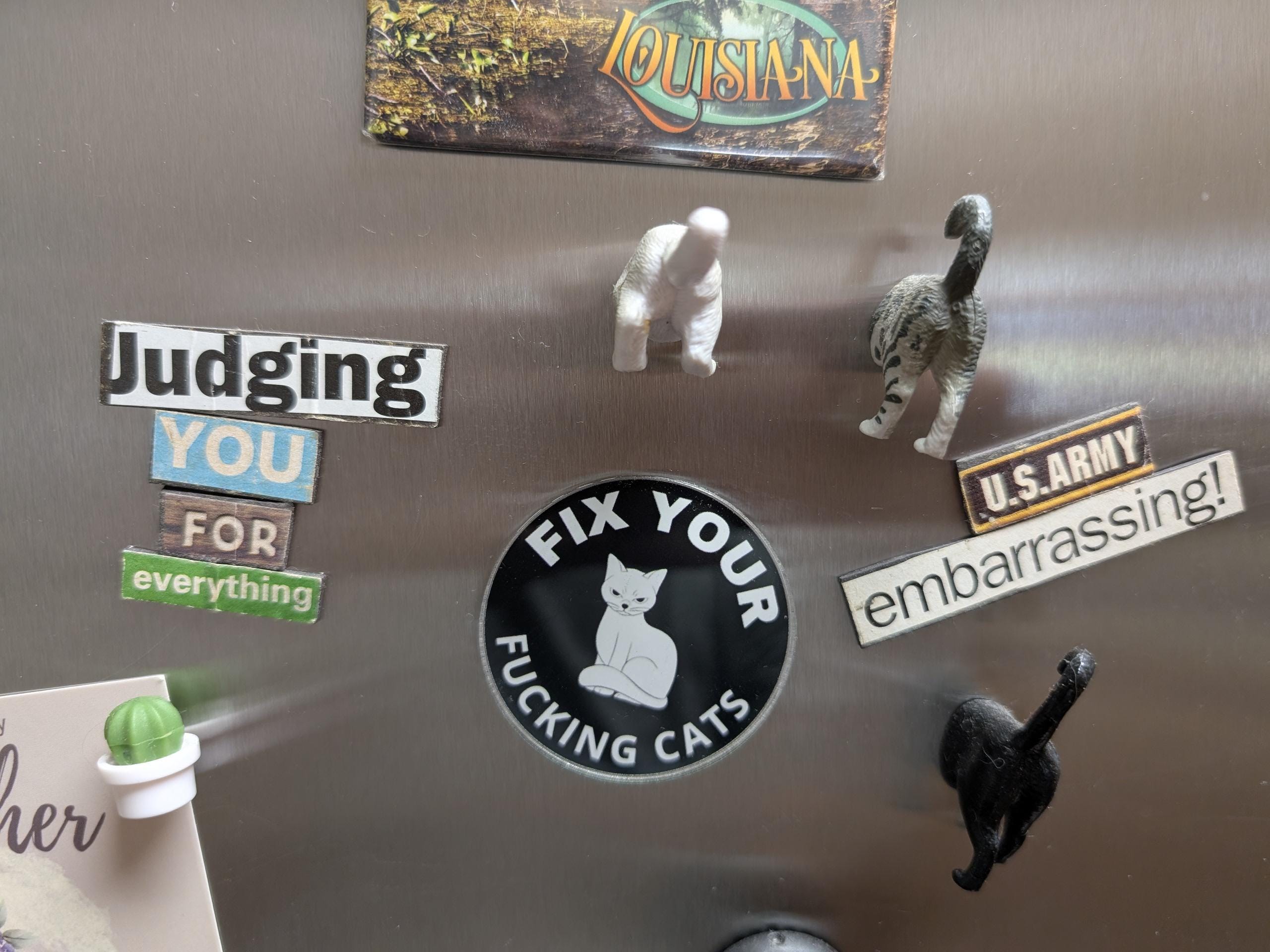 Fix your fucking cats 2" acrylic magnet - Thumbnail 2