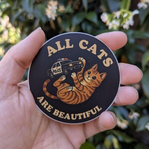 All Cat are Beautiful: poesje speelt met politieautosticker 3"