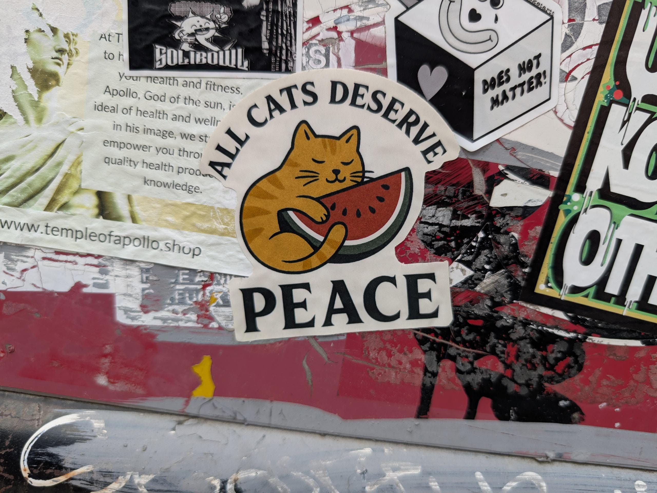 All Cats Deserve Peace -Free Palestine Sticker - Thumbnail 2