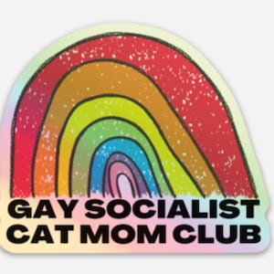 Gay Socialist Cat Mom Club Holographic Sticker