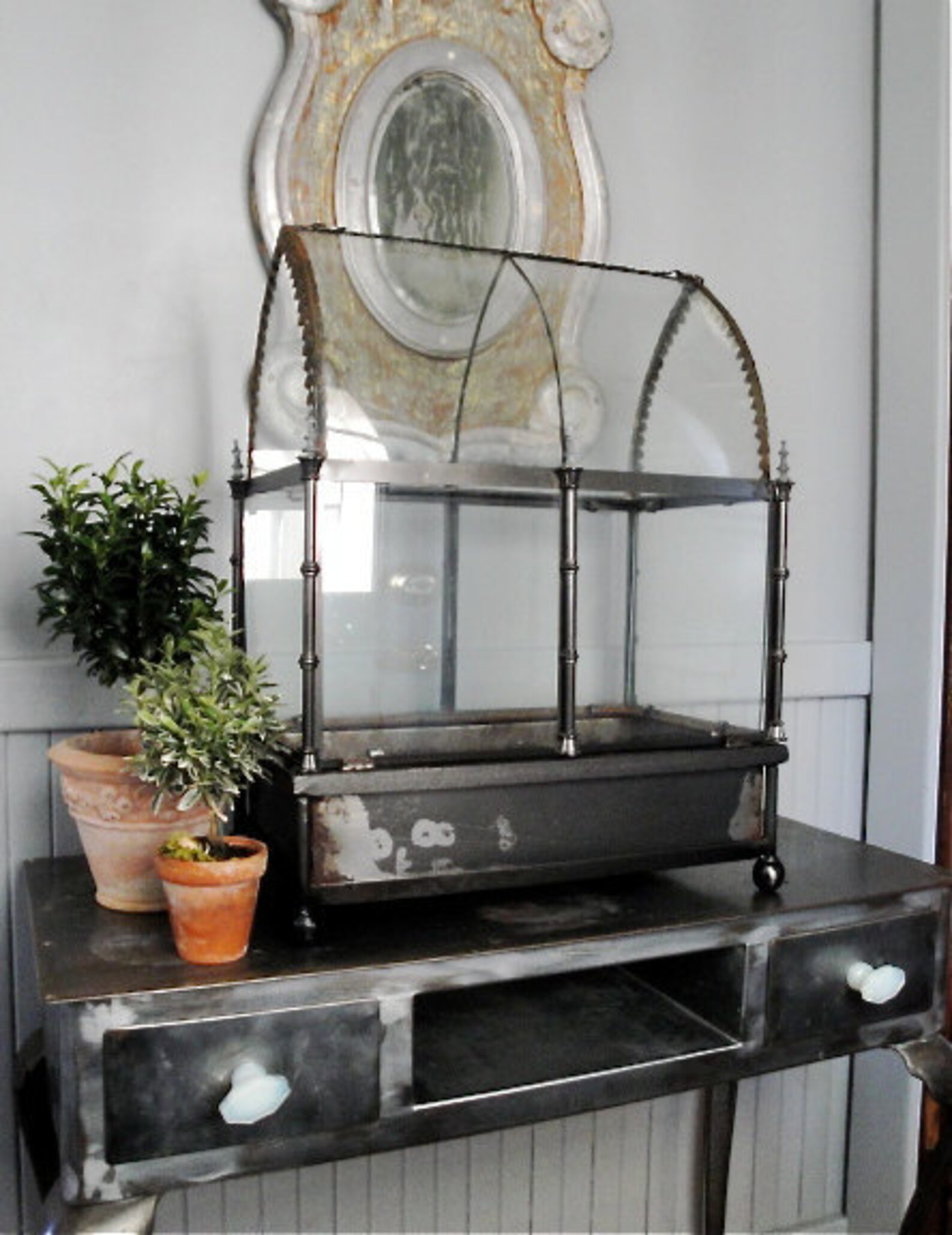 Glass terrarium wardian case Etsy