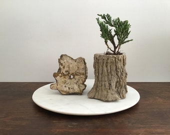 Pair faux bois mini concrete tree trunk planters