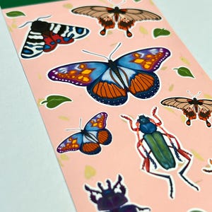 Autocollants avec insectes - Feuille d'autocollants en vinyle mat - Papillons et coléoptères - Images illustrées