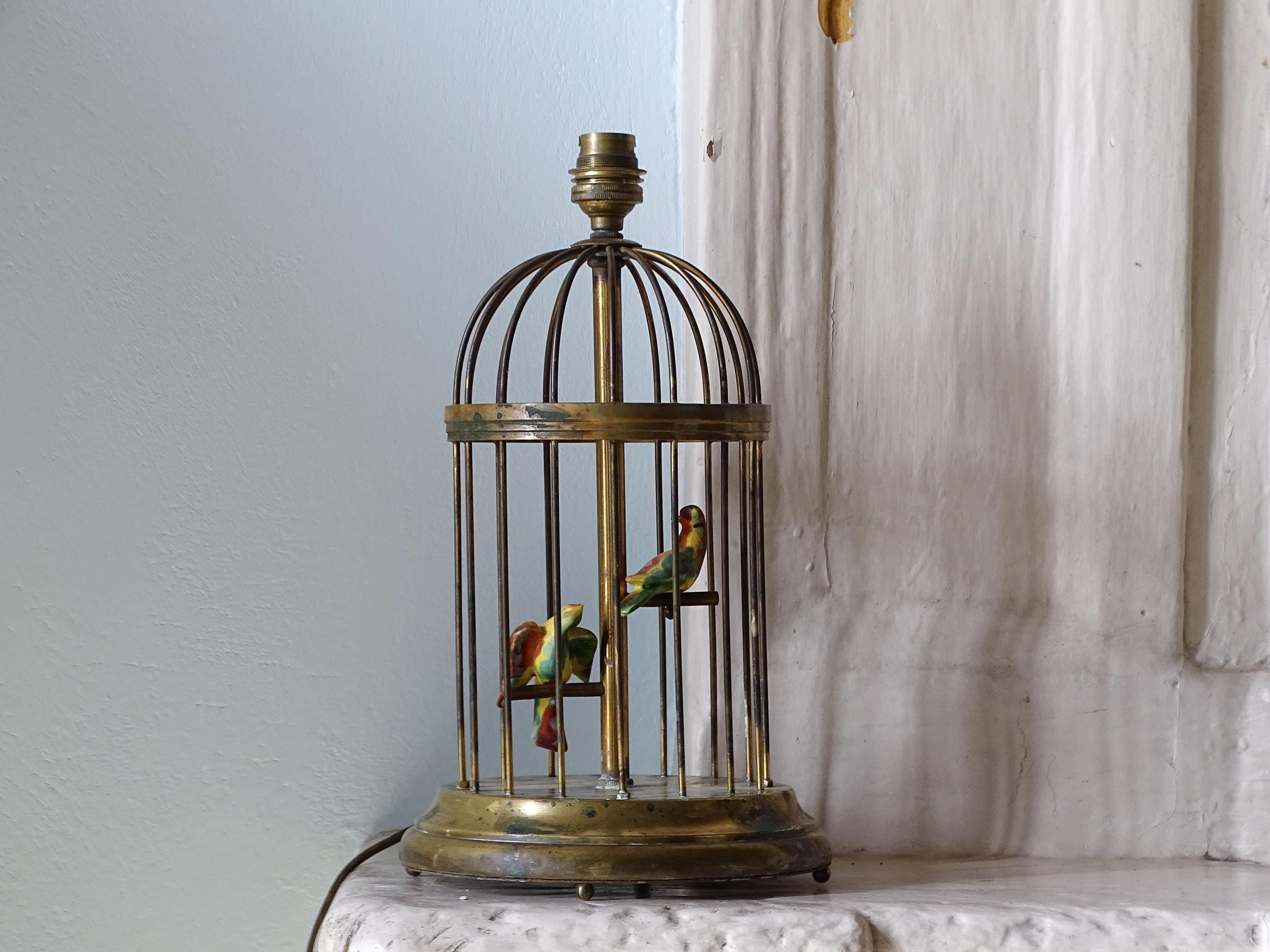 Birdcage Floor Lamp - Etsy