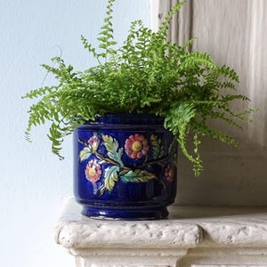 May include: A deep blue ceramic planter featuring a raised, colorful floral relief pattern with pink flowers and green leaves. A vibrant green fern plant is potted inside the cylindrical vessel, which has a smooth, glossy finish and a stepped base.