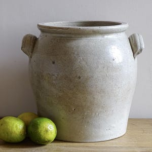 Puede incluir: Un gran jarrón de cerámica blanquecina con dos asas laterales. El jarrón tiene una abertura ancha y una superficie ligeramente texturizada. Tres limas verdes y amarillas están frente al jarrón sobre una superficie de madera.