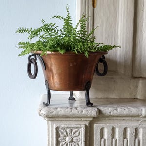 Pode incluir: Um vaso de cobre polido com uma borda larga e alargada e um acabamento metálico liso. O recipiente possui três pernas de ferro escuro curvas e duas alças de anel de ferro correspondentes nas laterais. Uma samambaia verde cresce dentro do vaso.