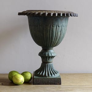 May include: A large, weathered, teal-colored urn with a decorative, scalloped rim. The urn has a pedestal base and sits on a square plinth. Three green limes rest on the wooden surface in front of the urn.