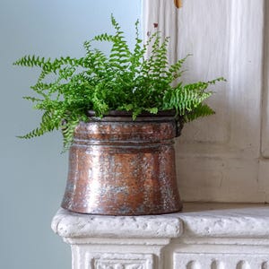 May include: A cylindrical copper pot with a weathered, metallic finish and visible patina, featuring a wide rim and small side handles. A vibrant green fern plant with delicate, feathery fronds is planted inside the pot, overflowing over the edges.