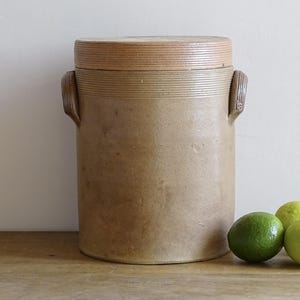 ヴィンテージ フランス製 陶器 コンフィジャー 蓋付き 大型 セラミックポット キッチン収納ジャー 素朴な農家風装飾 9.8インチ
