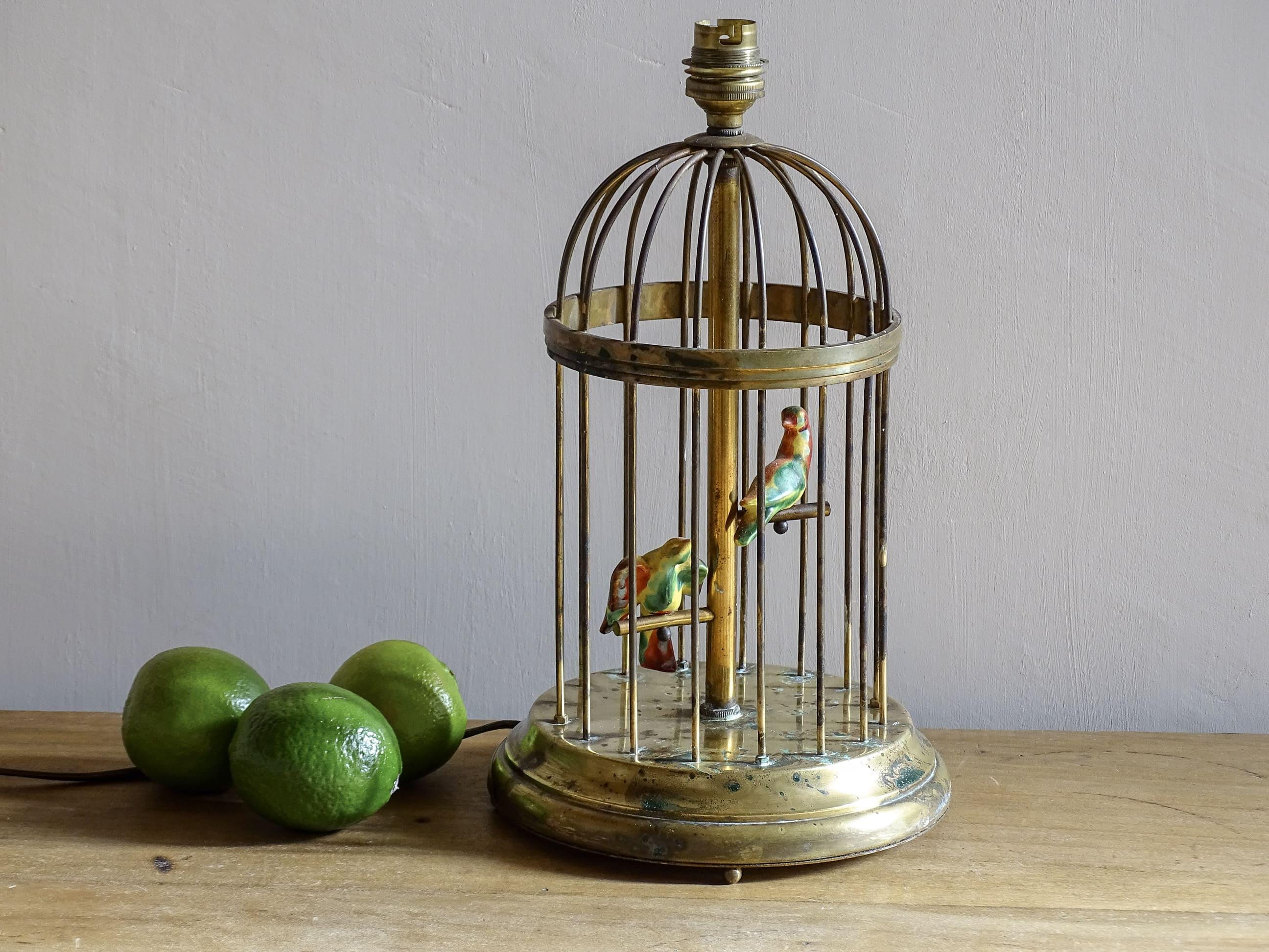 Birdcage Floor Lamp - Etsy