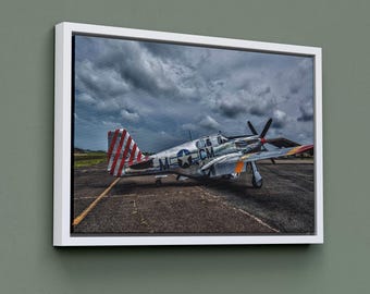 Arte mural del avión de combate P-51 Mustang