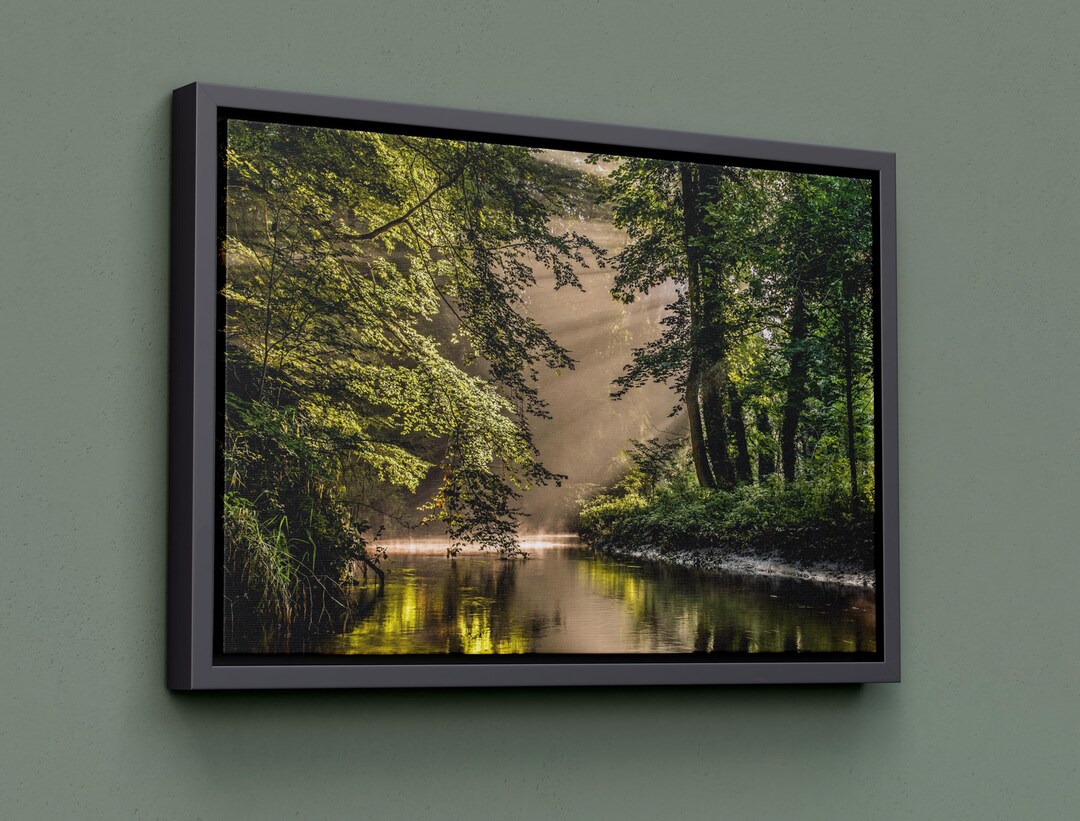 Forest River Canvas Print, Sunlit Trees, Nature Wall Art - Etsy