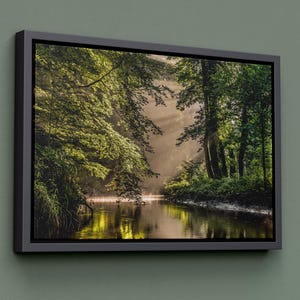 Forest Wall Art Canvas, Forest Tree Art Prints, Forest River Painting, Nature Wall Art, Living Room Sun Forest Prints, Extra Large Wall Art