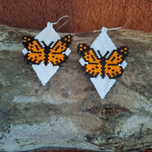 monarch butterfly on white