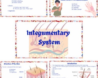Anatomy & Physiology Notes | Intugumentary System | Anatomy Study Guide | Nursing School Notes | Medical Notes | Instant Download PDF