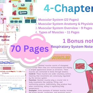 Muscular System Anatomy Notes biomedical students | bonus lecture | basics to advance level |