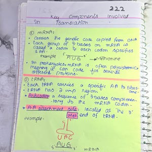 May include: A notebook page with handwritten notes on key components in translation, including mRNA and tRNA. The text is in blue and green ink, with highlighted sections in pink and yellow. Diagrams and scientific terminology are present.