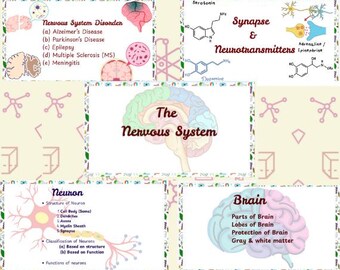 Anatomy and physiology: Nervous system Biomedical study notes  | Anatomy Study Guide | 2025 Edition | Medical Notes | Instant Download pdf