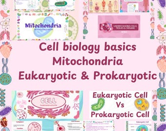 Anatomy and Physiology | Study Guide Cell biology | comprehensive biology notes | Biochemistry notes | anatomy notes | Made by porfessional