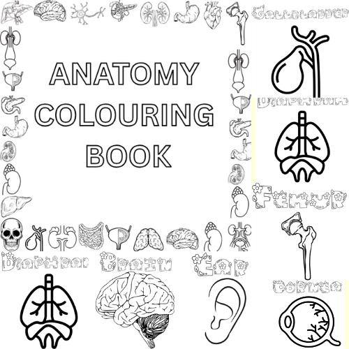 Human Anatomy Coloring Book | Human Body Art  | A to Z Complete Anatomy Coloring Book | Medical Student Gift | Instant Download