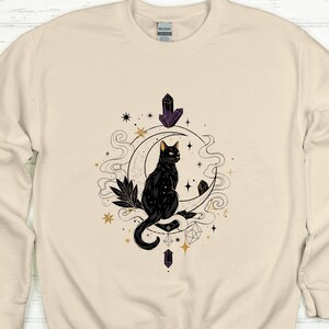 Halloween Cat Sweatshirt, Cute Fall Graphic Hoodie, Halloween Fall Aesthetic Sweatshirt, Cat Lover Sweatshirt, Trick or Treat Outfit