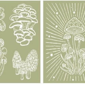 May include: Two illustrations of mushrooms. The first illustration shows a variety of mushrooms in a cluster, including a cluster of small mushrooms, a cluster of larger mushrooms, and two morel mushrooms. The second illustration shows a cluster of mushrooms with a starburst pattern behind them.