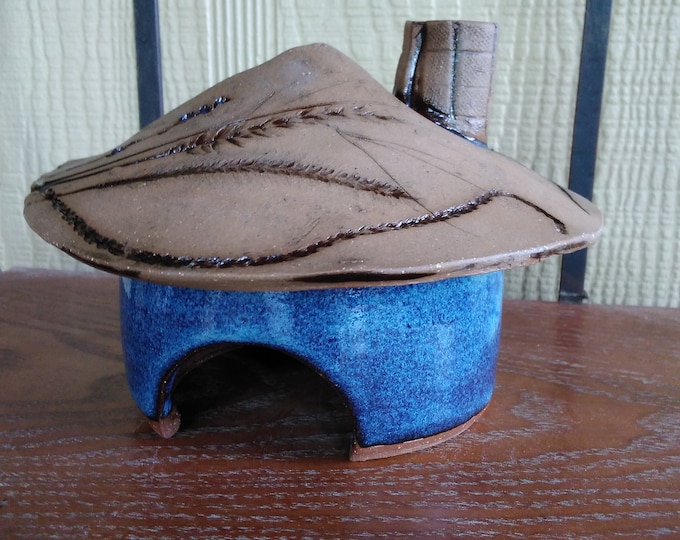 Nature Inspired Blue Toad Abode