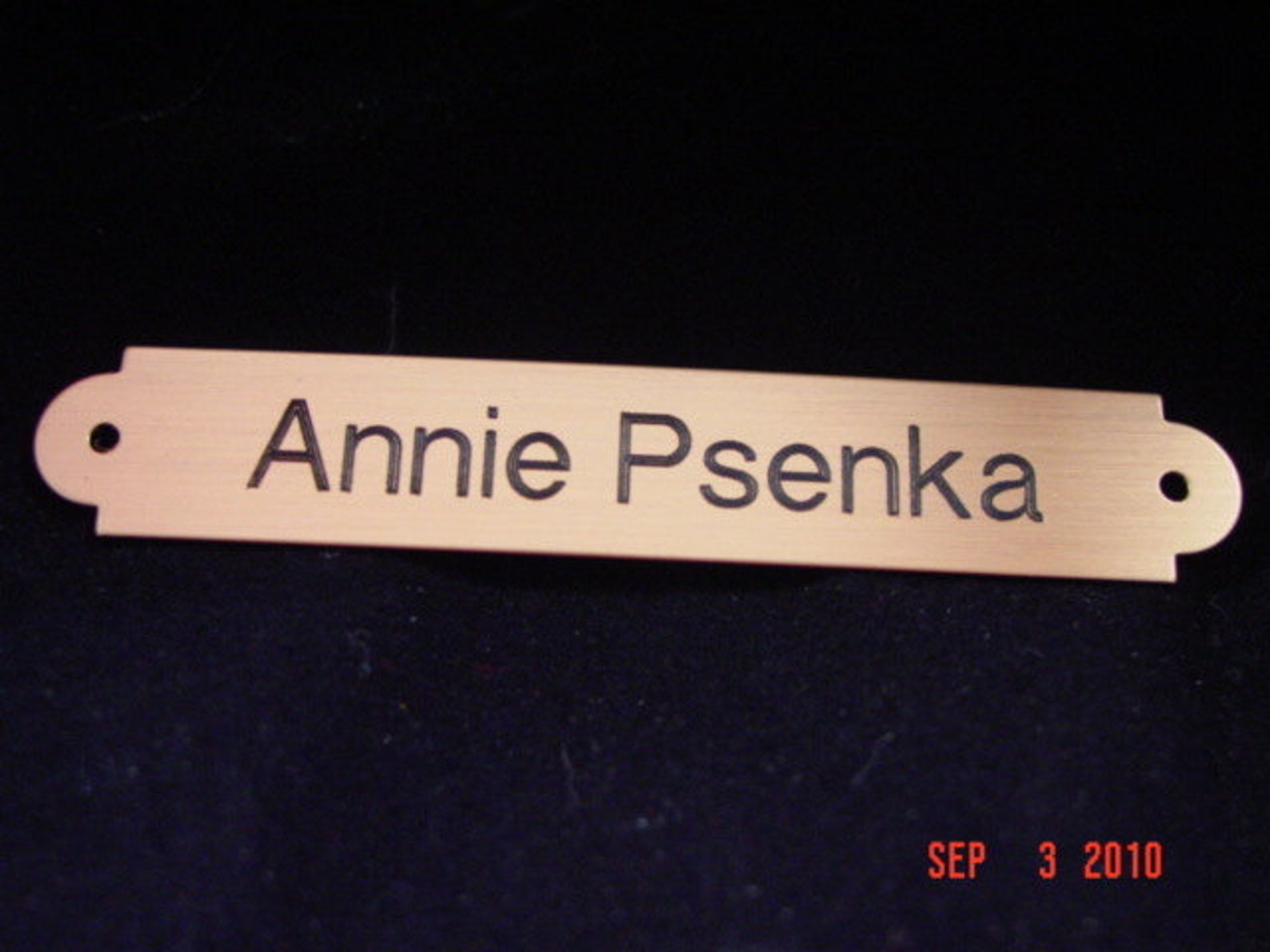 Saddle Tagengraved Brass Horse Tack Saddle Name Plate Etsy