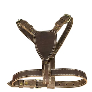 Pode incluir: Uma coleira para cães de couro castanho com costuras brancas. A coleira possui tiras ajustáveis, fivelas de metal e uma placa peitoral. O design é resistente e funcional, adequado para várias raças de cães. A coleira foi projetada para conforto e controle.