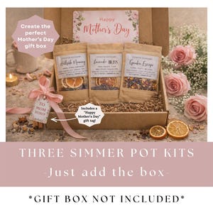 May include: A Mother's Day gift set featuring three simmer pot kits in kraft paper bags, displayed in a cardboard box. The bags are labeled with names like "Hillside Morning" and "Lavender Bliss." A pink ribbon and a gift tag that says "To Mom XOXO" are included. The text reads "THREE SIMMER POT KITS - Just add the box."