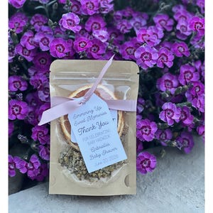 May include: A kraft paper pouch with a clear window containing dried orange slices and herbs, tied with a light pink ribbon and a white tag that reads: Simmering Up Sweet Memories Thank You FOR CELEBRATING BABY HADWICK Gabrielles Baby Shower June 20, 2026.