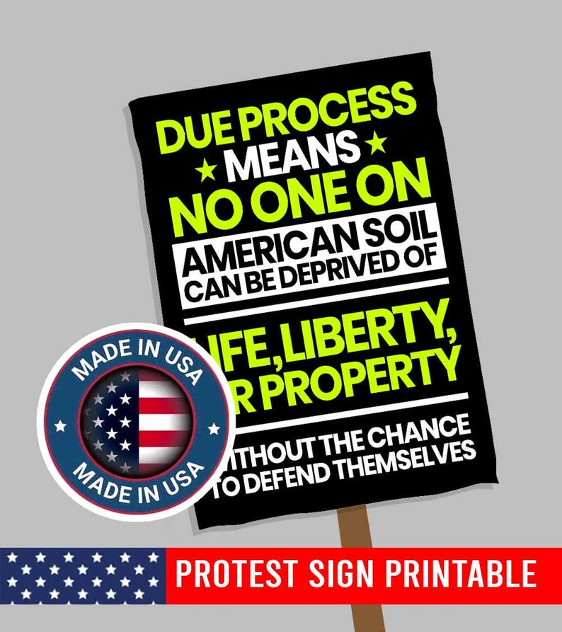 Due Process Protest Sign: Anti-trump Poster (digital Download, Multiple ...