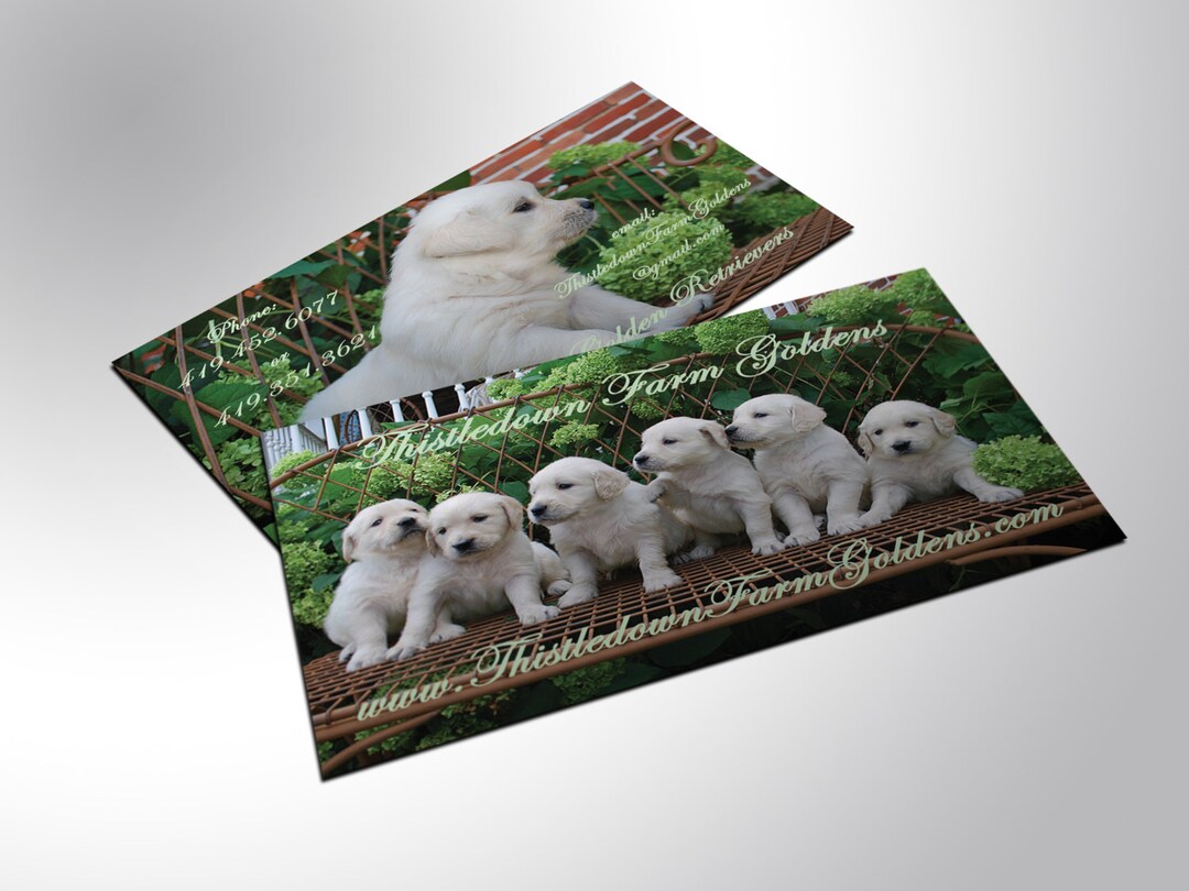 Business Cards, Bulk Etsy