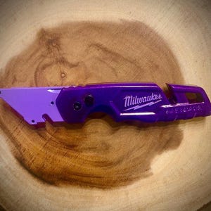 Custom Milwaukee Fastback