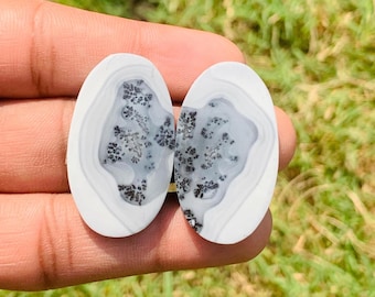 Natural Maligano Jasper Pair Cabochon For Earring Making Jewellery