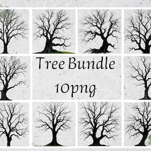 Tree PNG Clipart Bundle: Summer & Winter Tree Silhouette Vector (Digital Download)